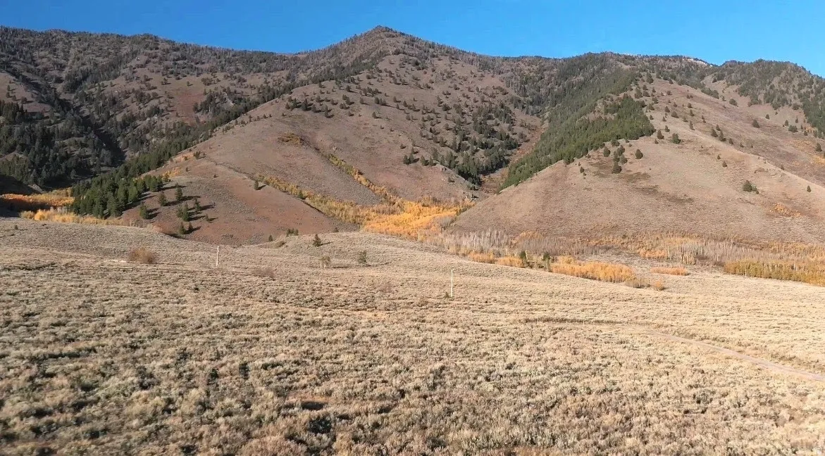 View of mountain background