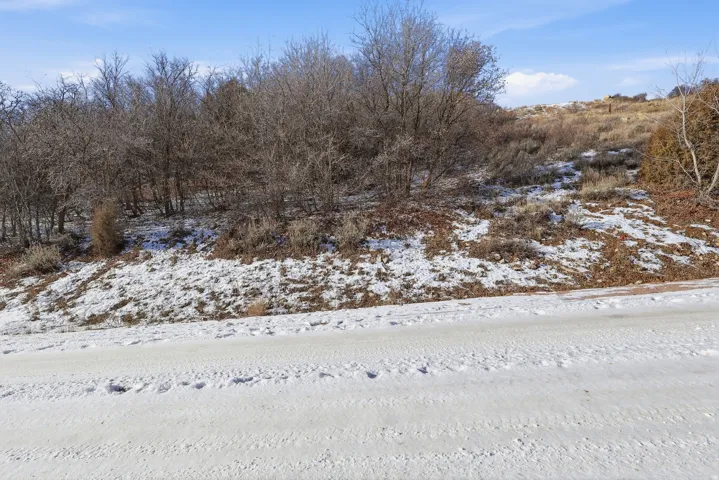 View of snowy yard