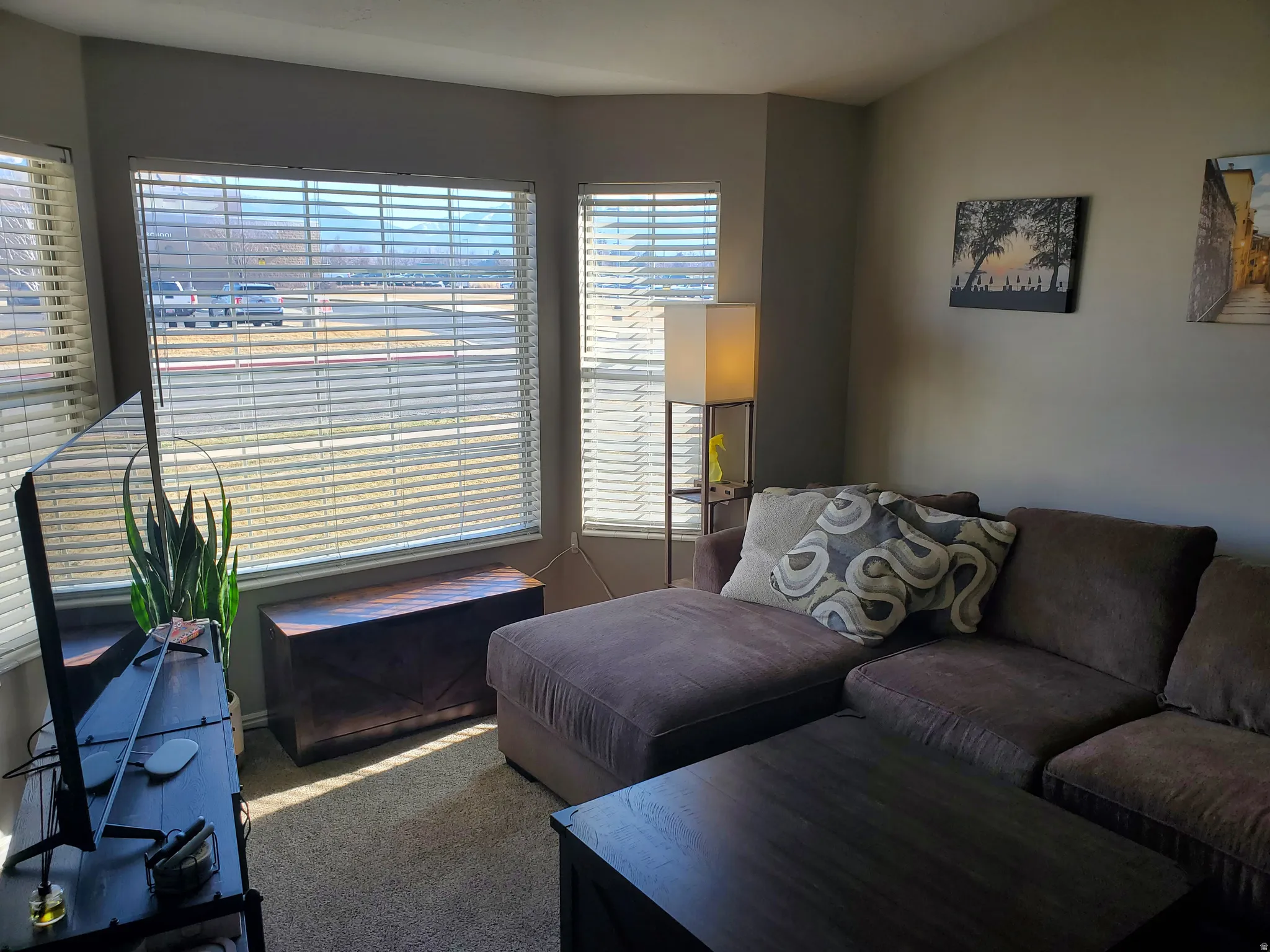 Living room featuring carpet