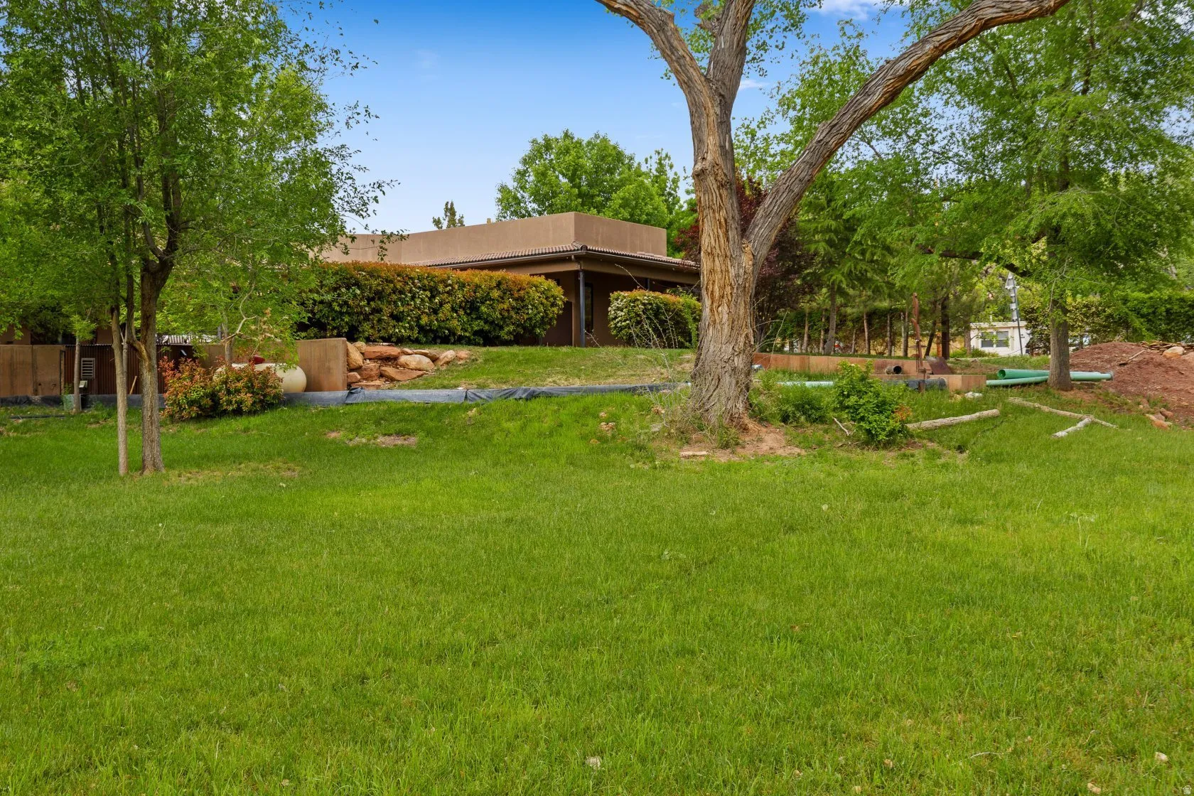 Backyard - Mature Trees