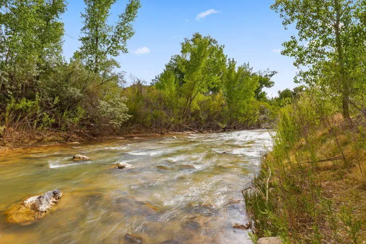 Backyard - Virgin River
