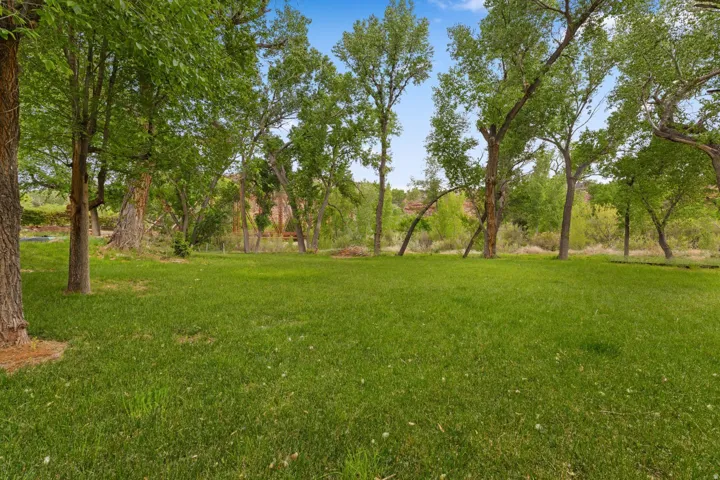 Backyard - Mature Trees, Riverfront
