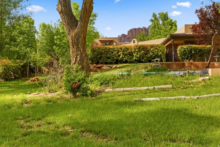 Backyard - Mature Trees