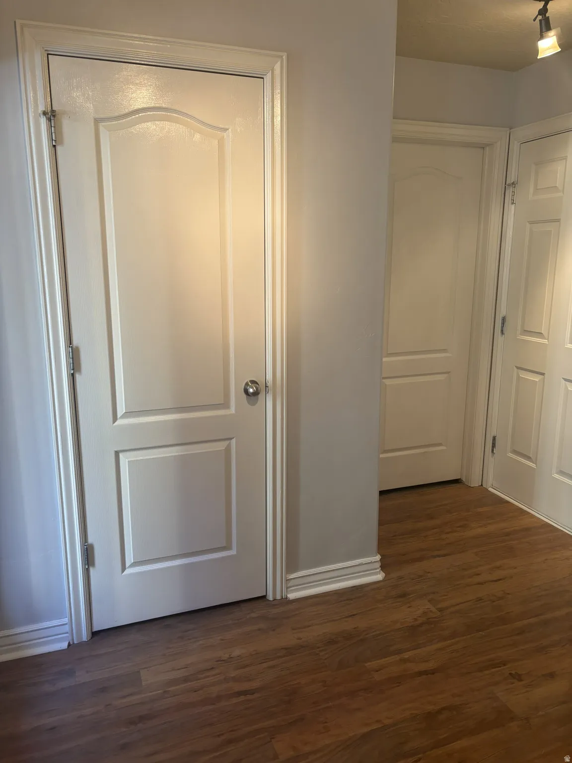 Hallway featuring dark wood-style flooring and track lighting