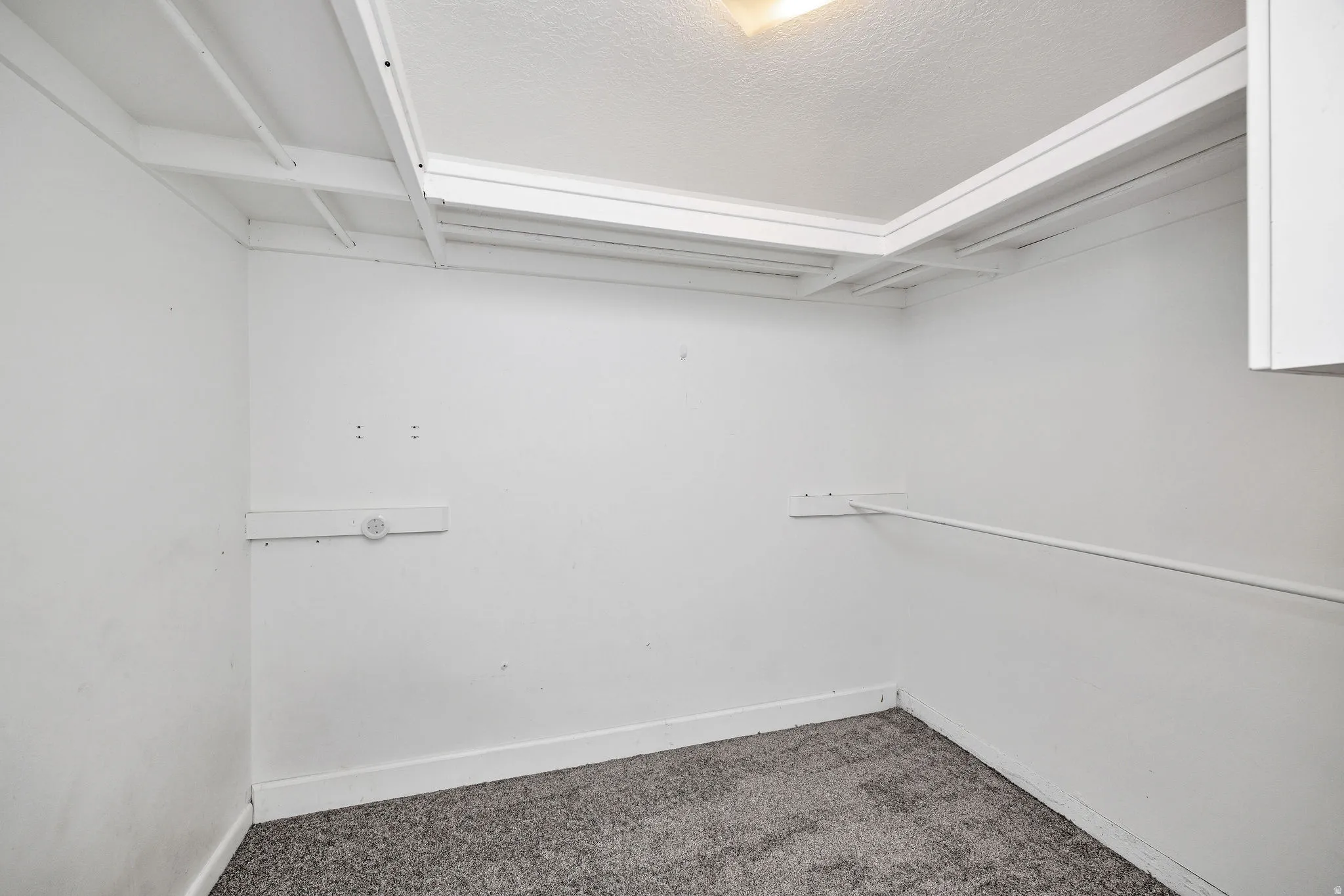 Walk in closet featuring carpet flooring