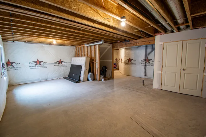View of unfinished basement