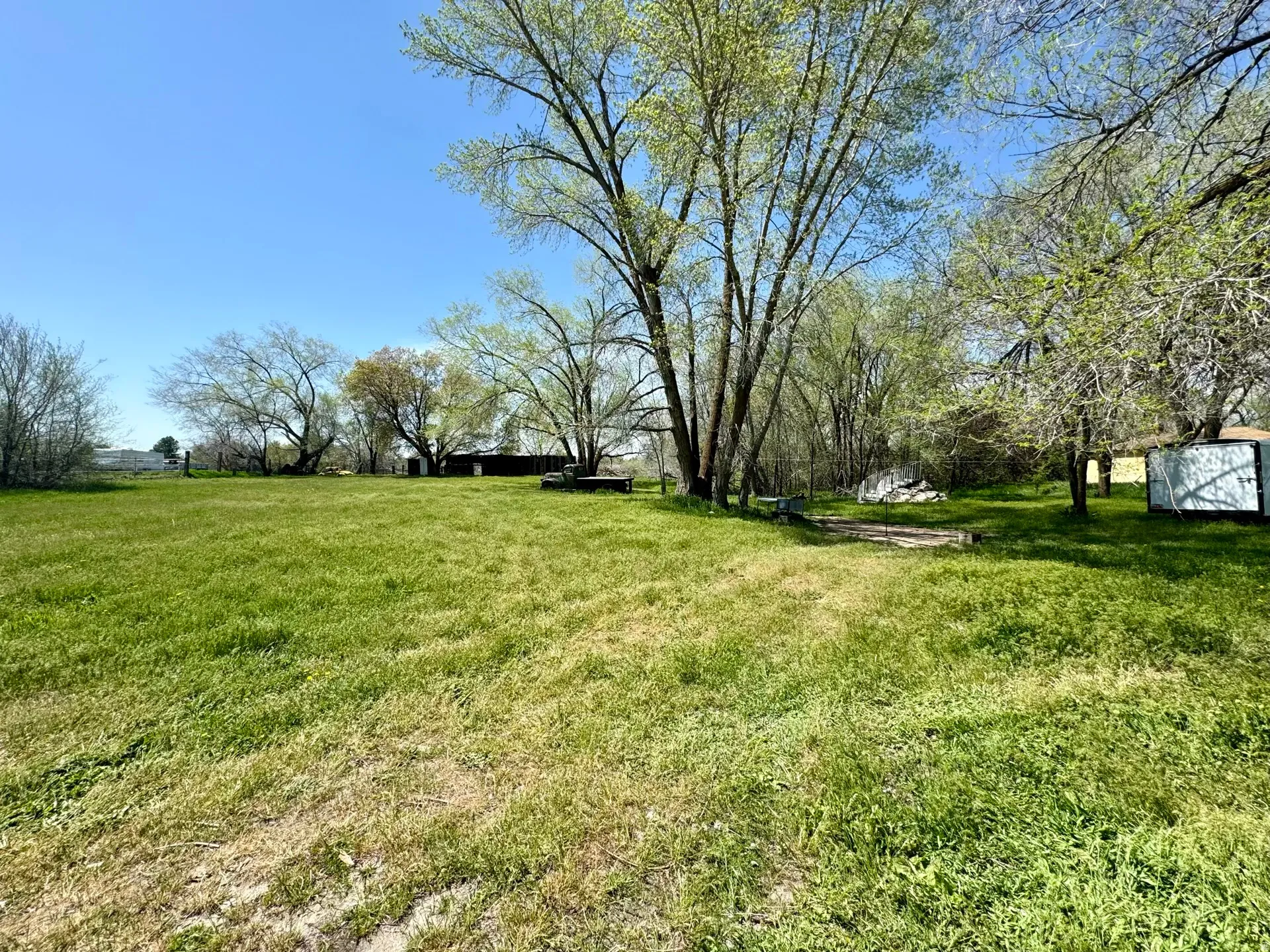 View of green lawn