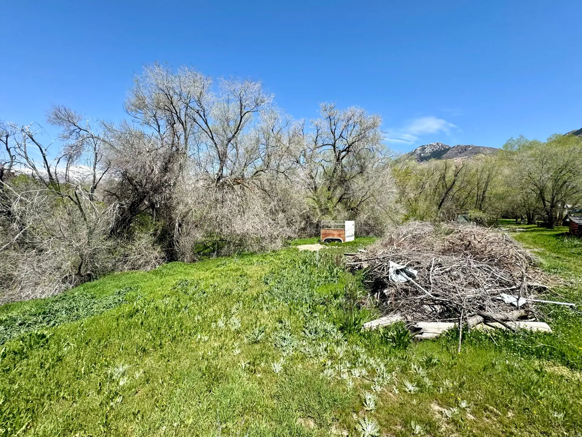 View of yard featuring a mountain view