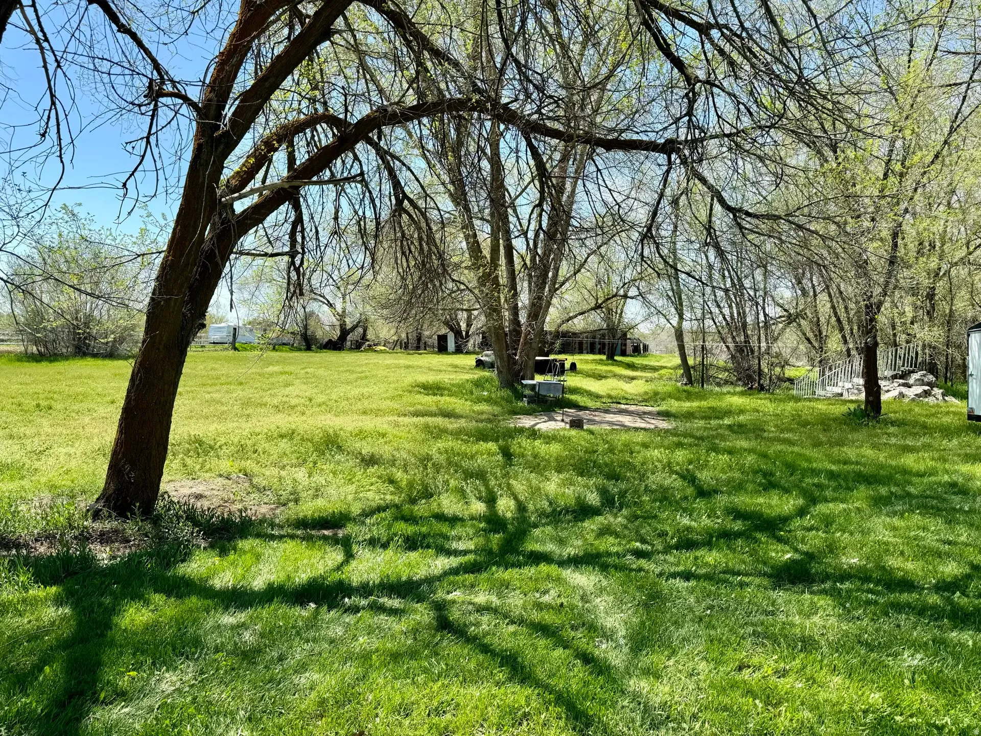 View of green lawn
