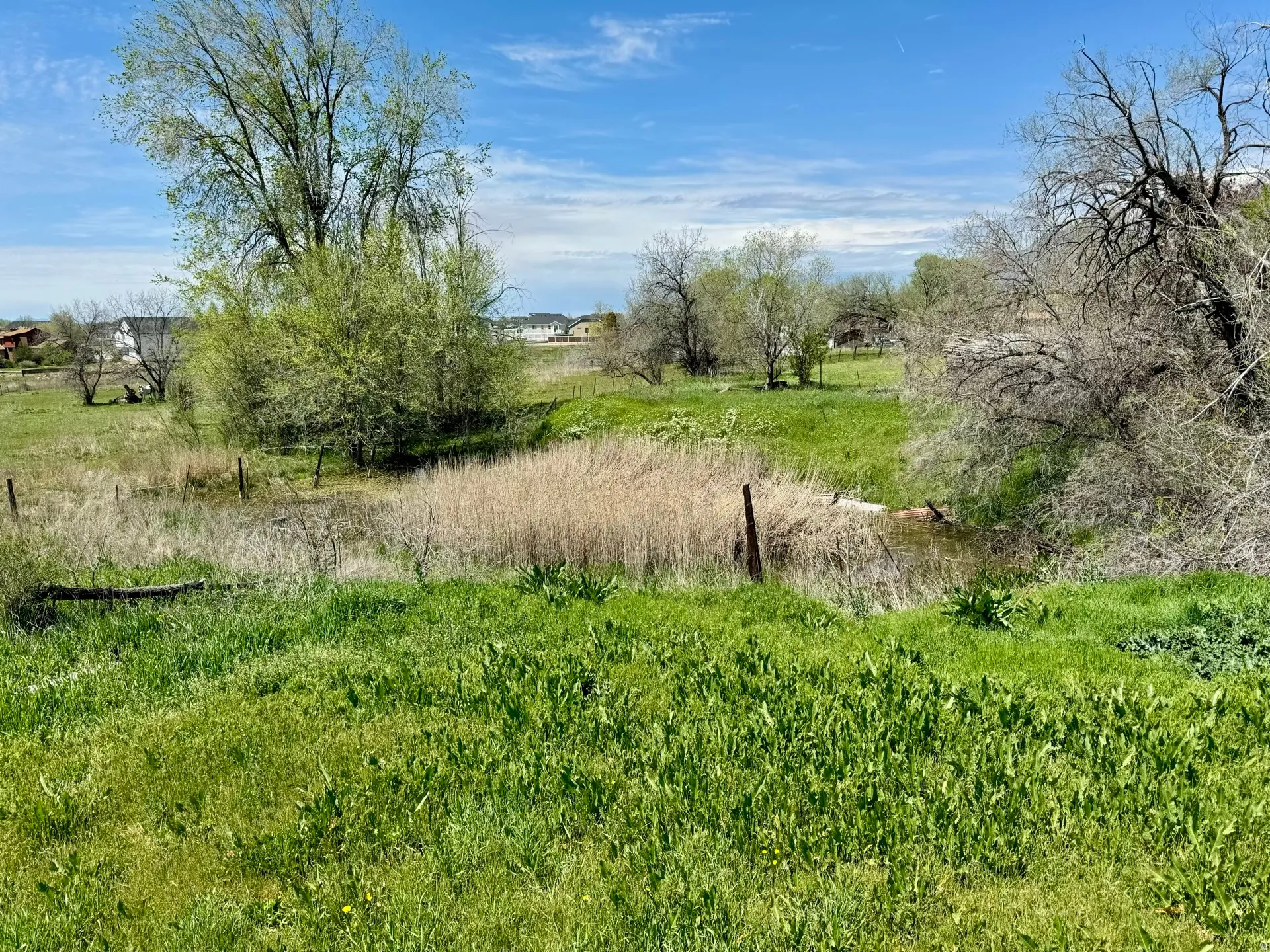 View of undeveloped land featuring rural landscape
