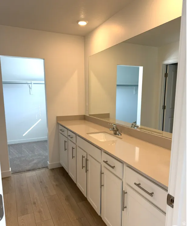 Bathroom with dark wood-type flooring, vanity, a walk in closet, and recessed lighting