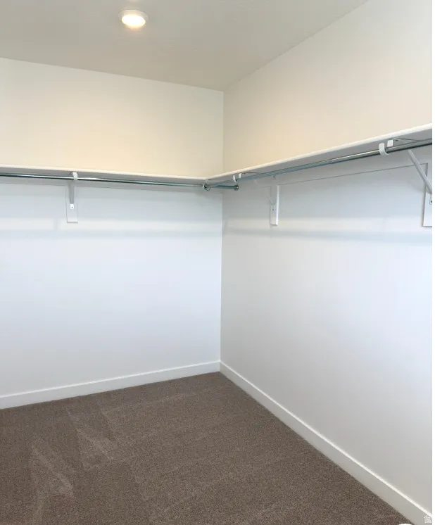 Spacious closet with dark carpet
