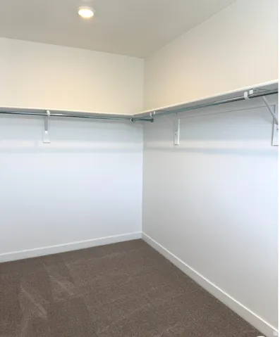 Spacious closet with dark carpet