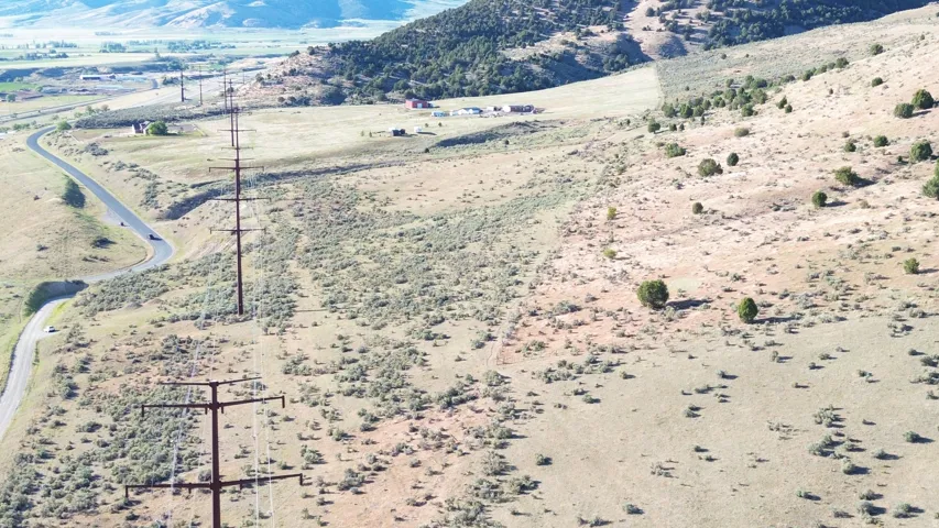 Expansive open land featuring diverse natural vegetation and a paved road