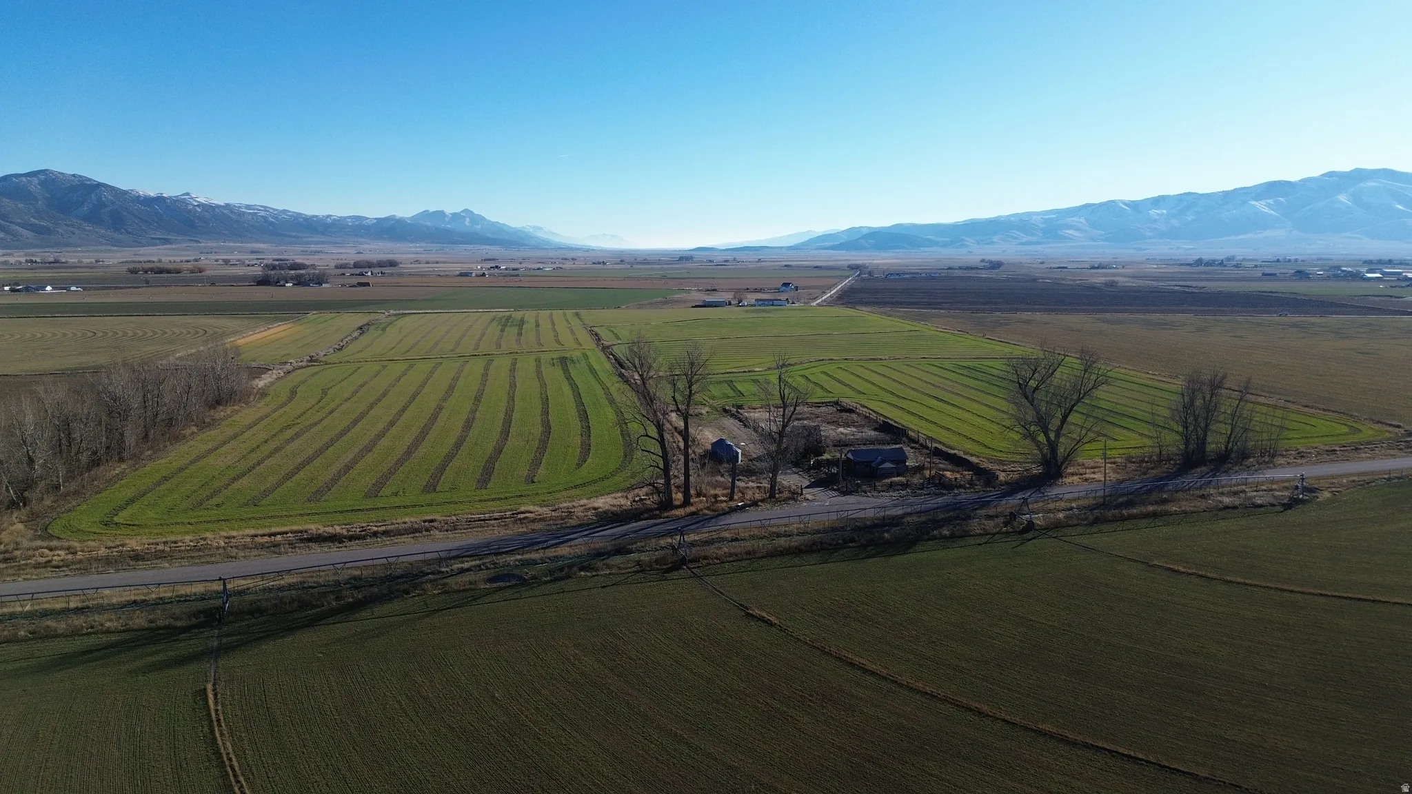 Aerial view of sparsely populated area with a mountain backdrop and rows of crops