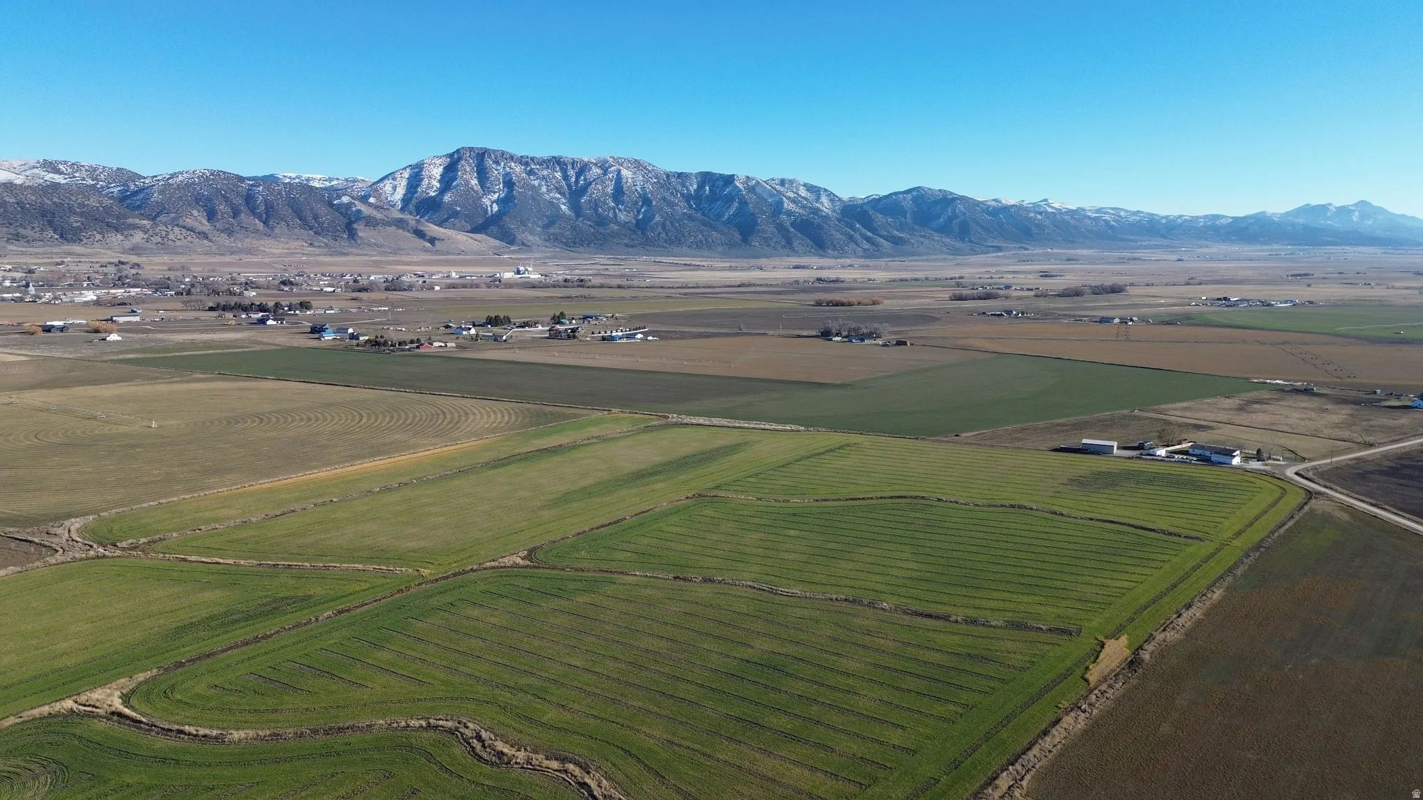 View of rural area featuring rows of crops and a mountain backdrop