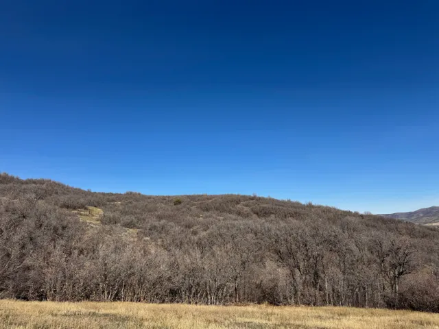 , Mountain Green, Utah 84050