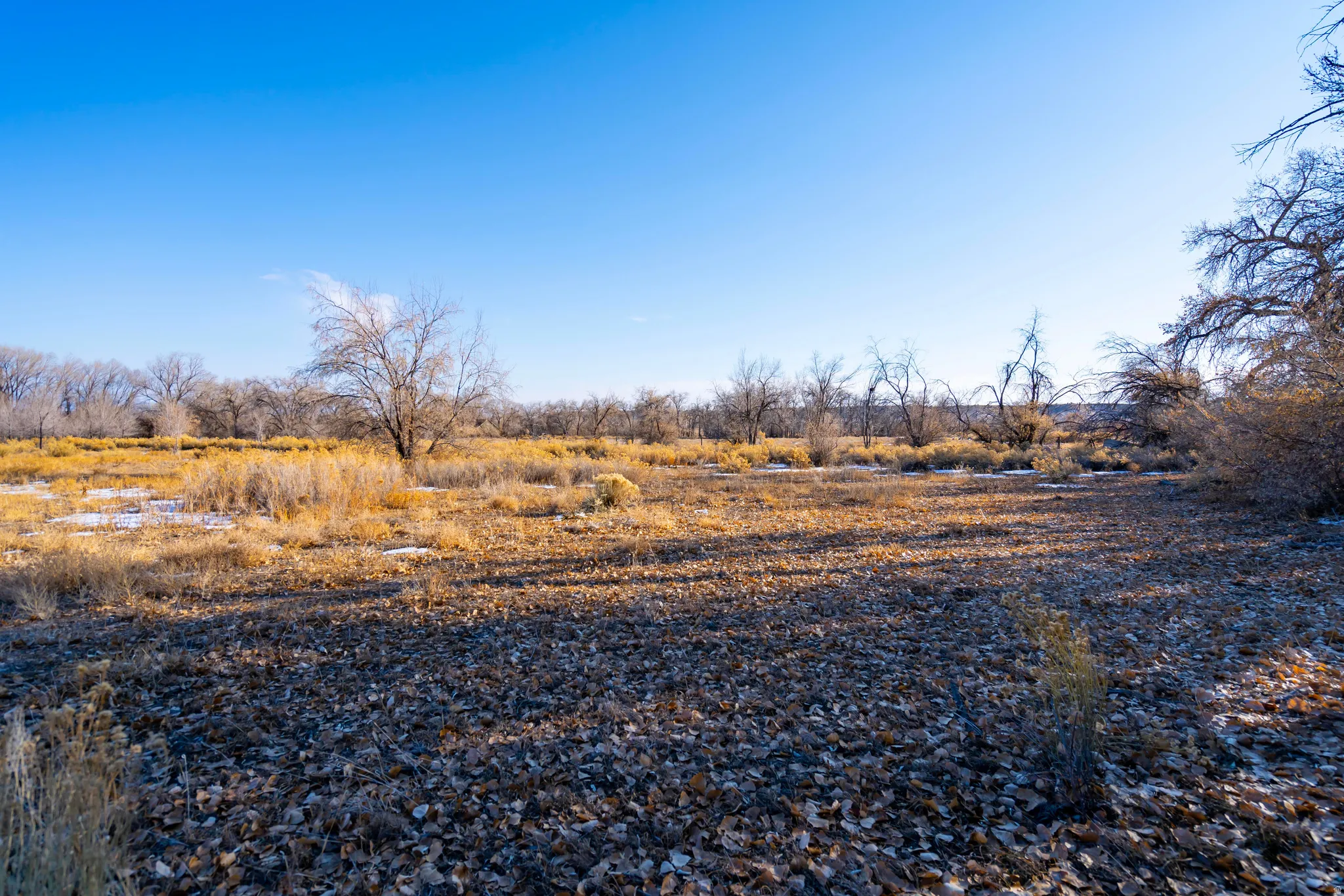 View of undeveloped land with rural landscape