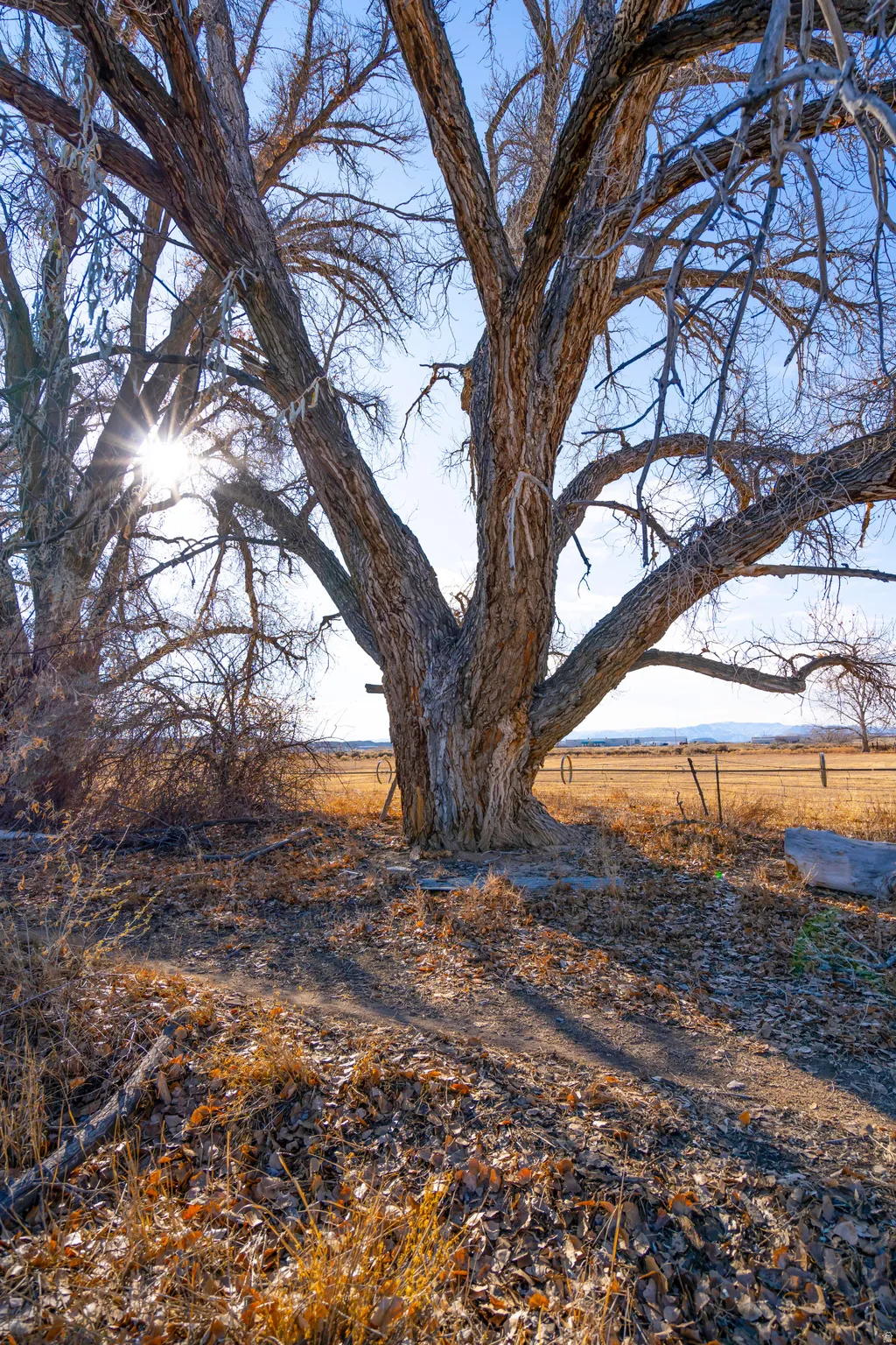 View of yard with a view of countryside