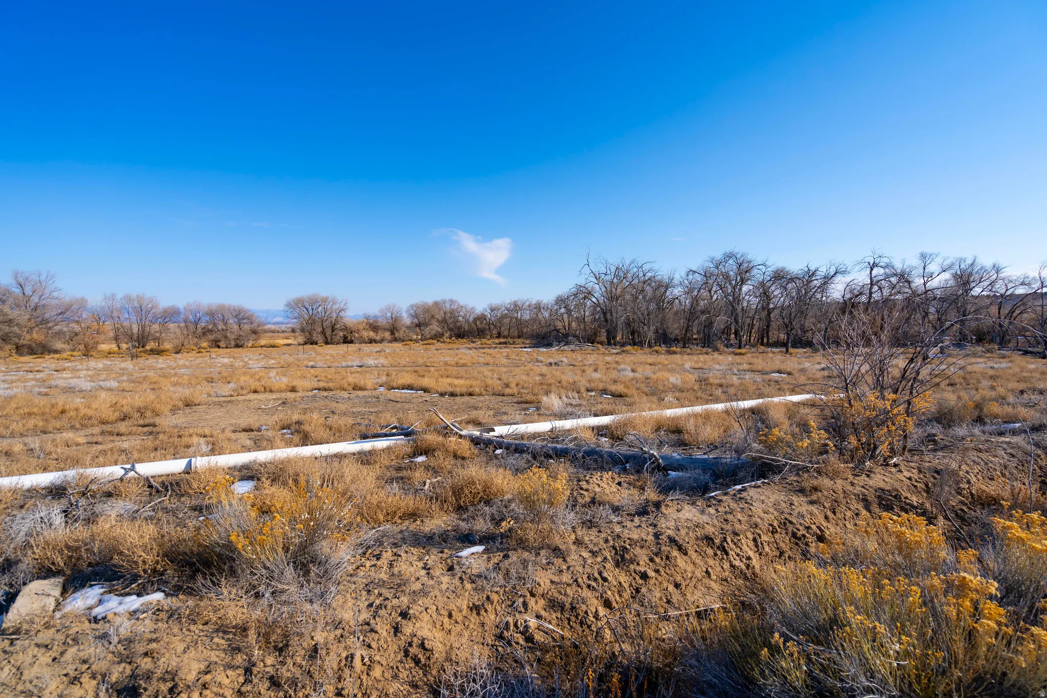 View of yard with a rural view
