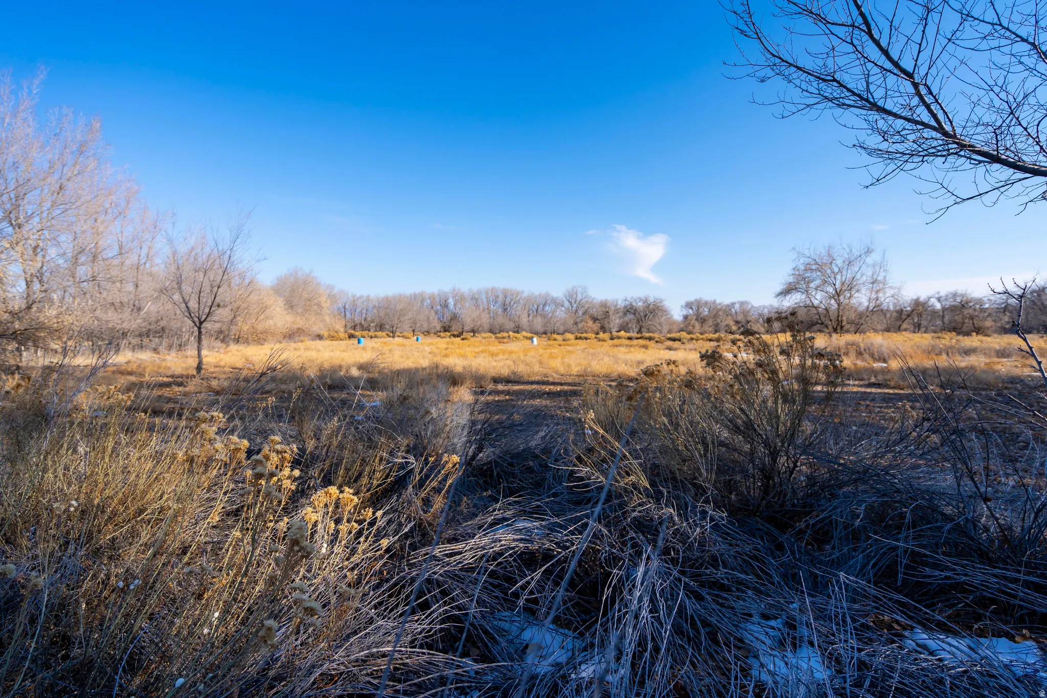 View of nature featuring rural landscape