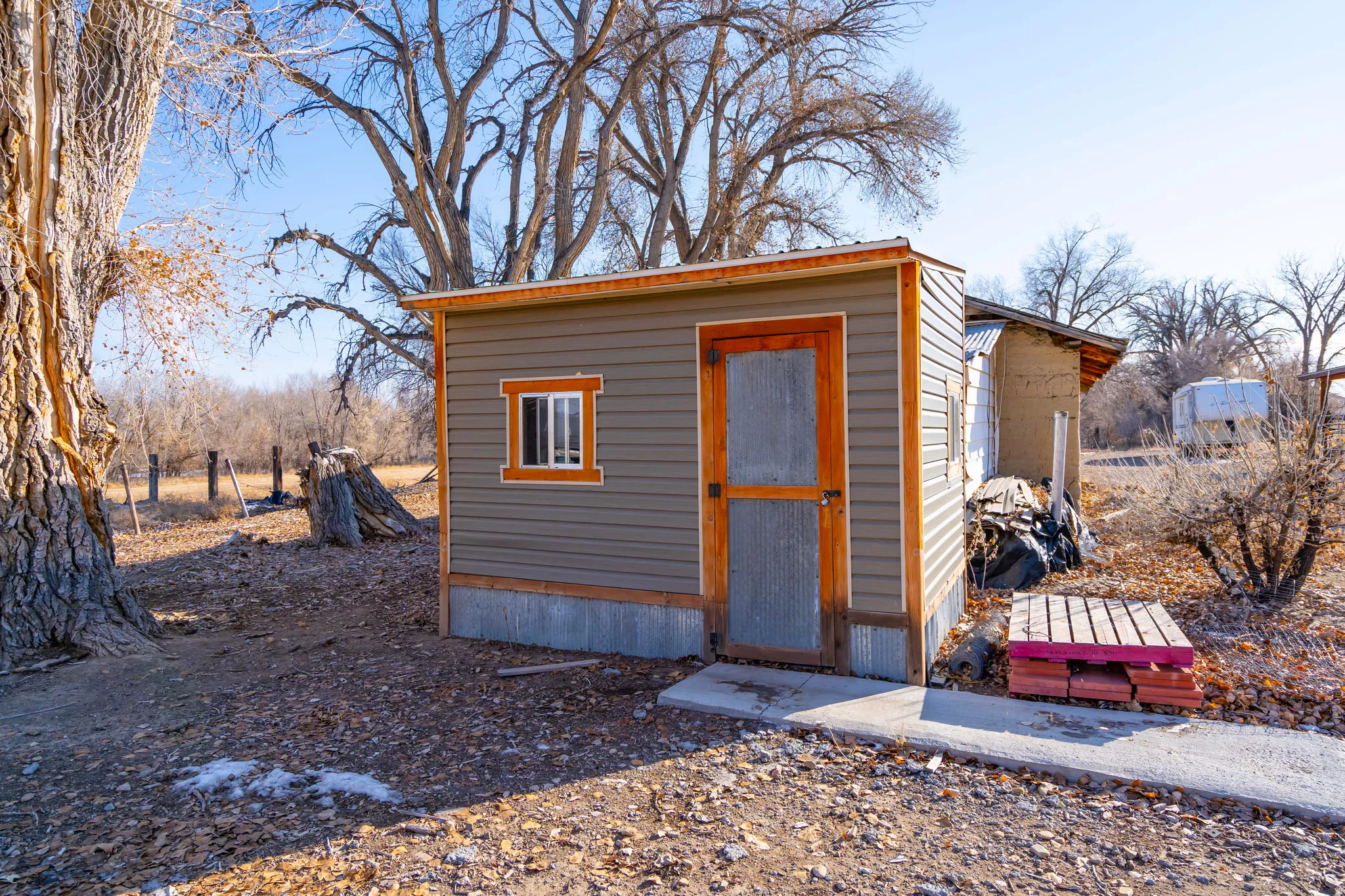 View of shed