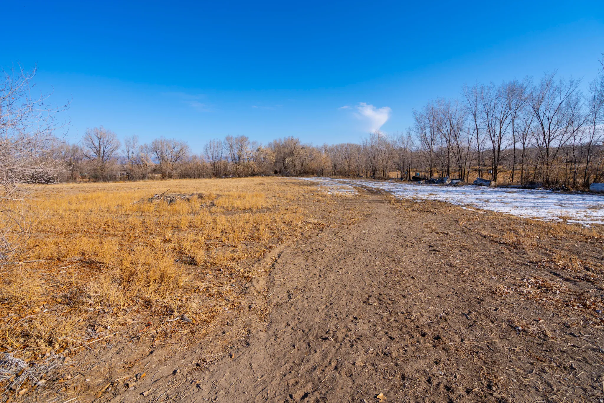 View of yard with a view of rural / pastoral area