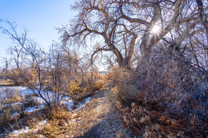 View of local wilderness