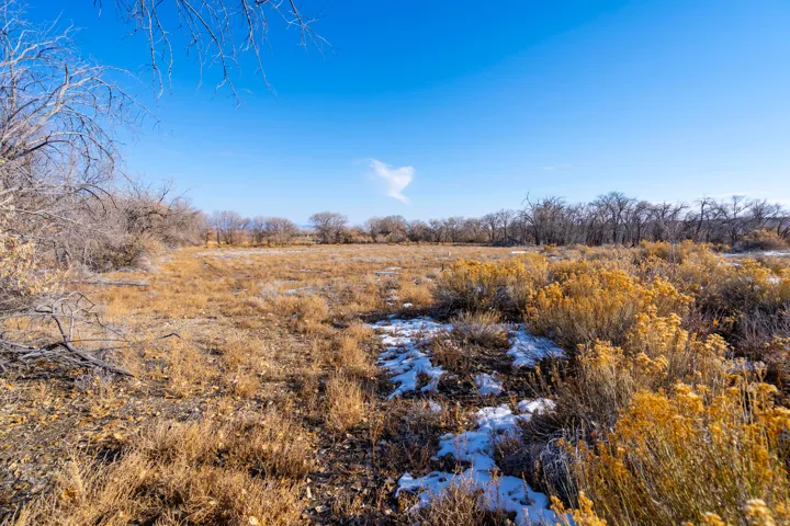 View of nature