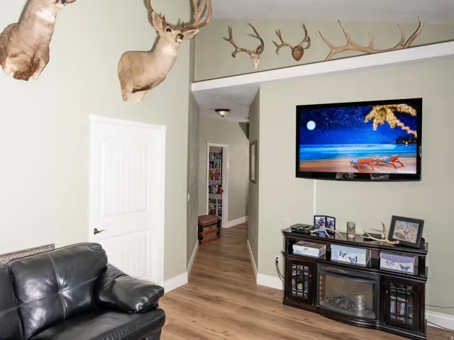 Living room with light wood-style floors and lofted ceiling