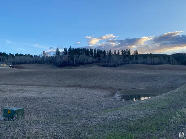Water view with a forest