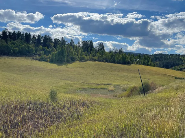 View of tree filled area featuring a rural view