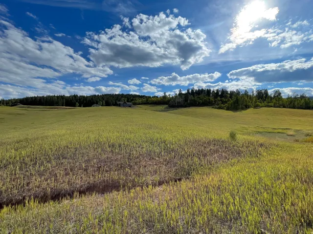 View of nature