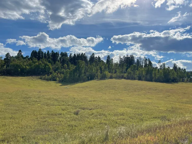 View of undeveloped land with rural landscape
