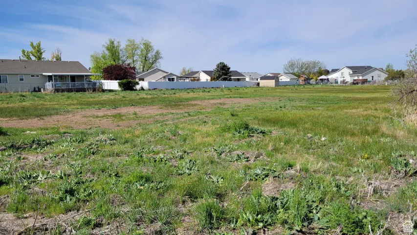 View of yard featuring a residential view