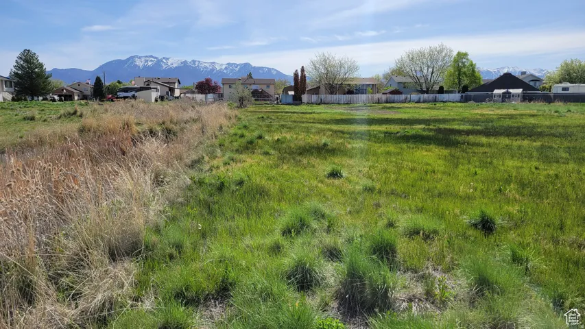 View of yard with a mountain view and a residential view