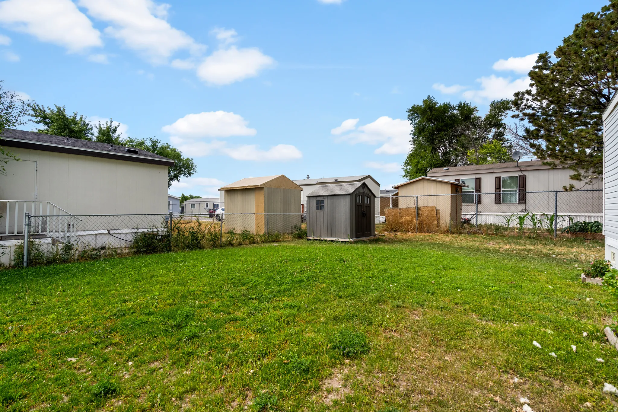 Fenced backyard with a shed