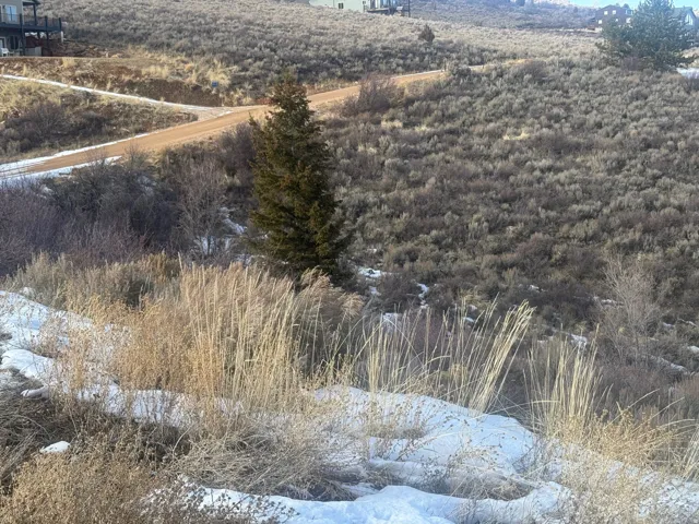 View of snow covered land