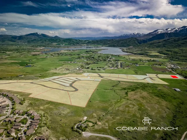 Expansive undeveloped land with delineated parcels