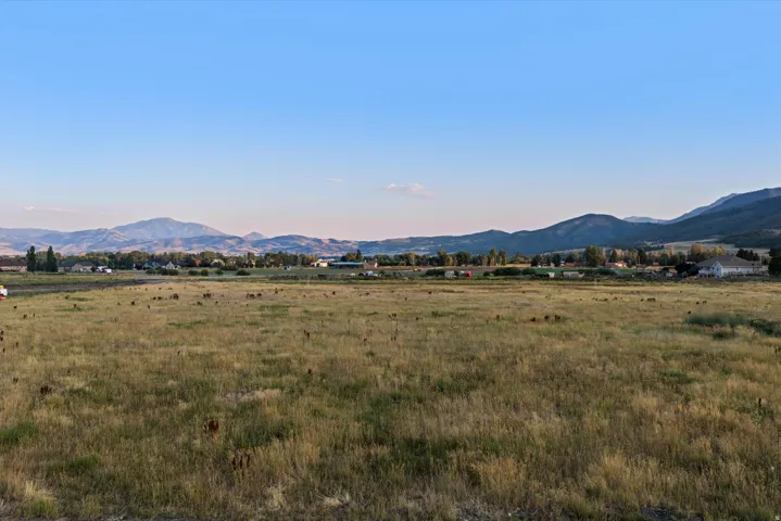 Expansive agricultural field with natural grass and distant mountain ranges