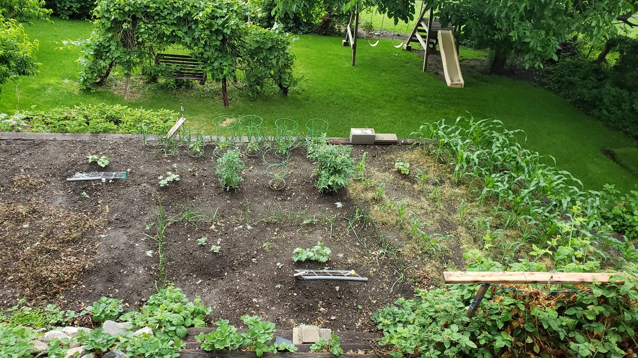 View of green lawn featuring a vegetable garden