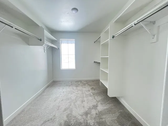 Walk in closet with light colored carpet