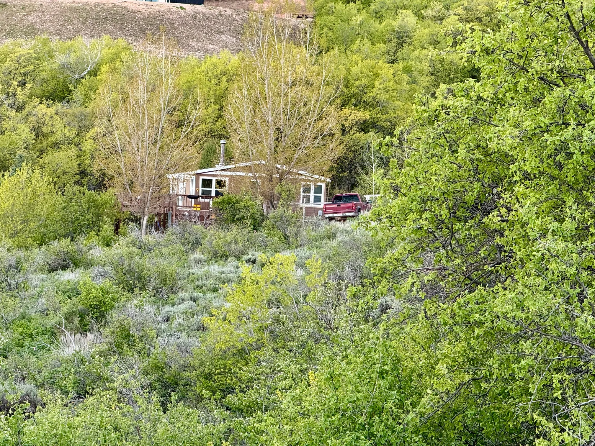 View of subject property with a trees