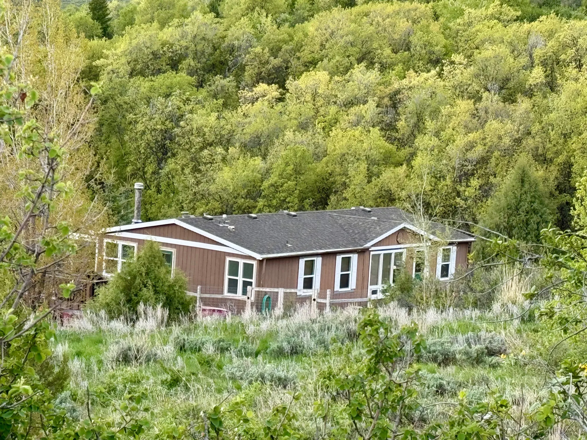 Rear view of house with a view of trees