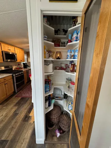 View of pantry with door open