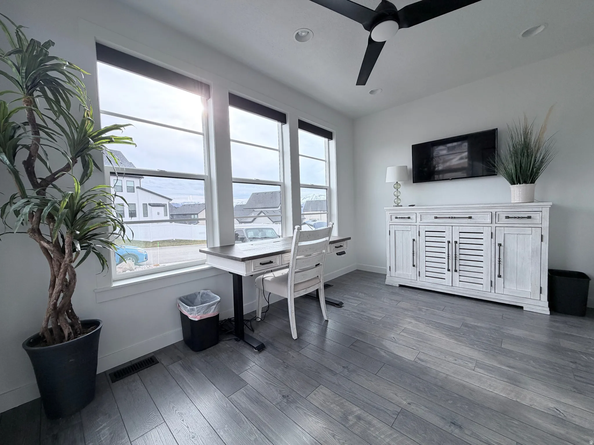 Electric movable sitting/standing desk, cabinet, TV and Decor included