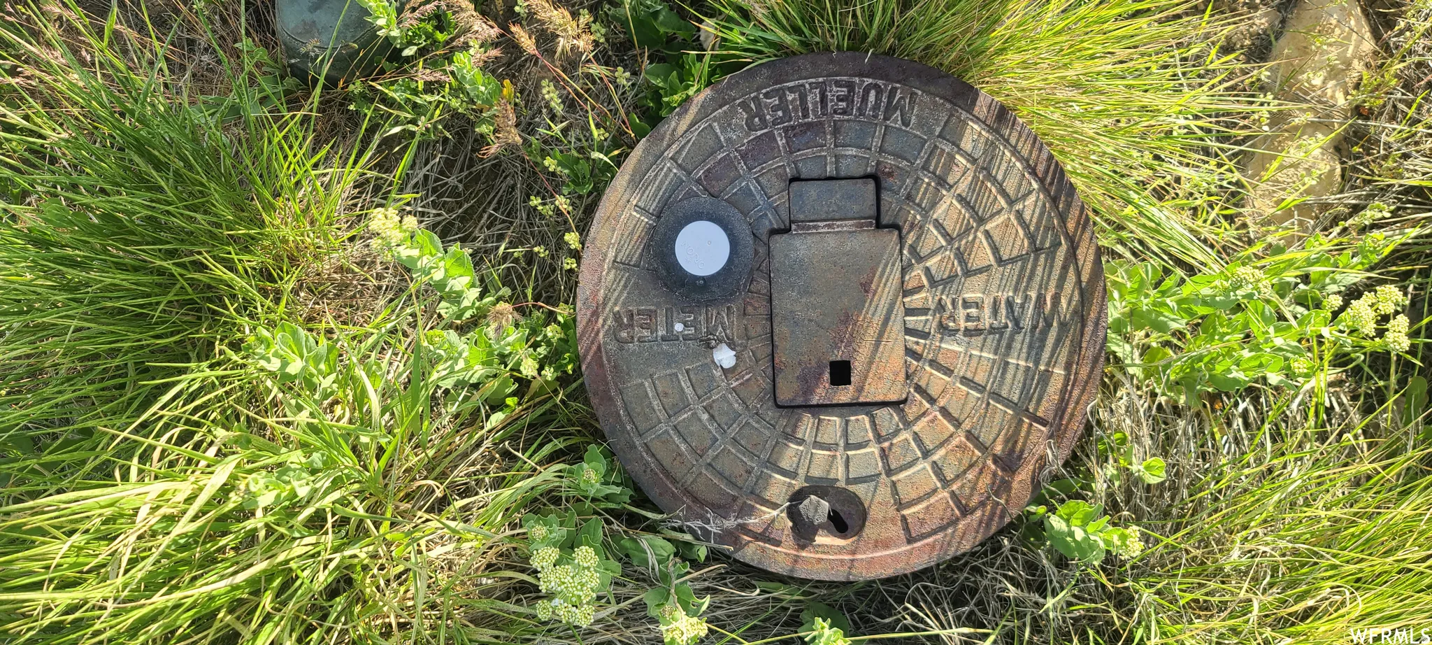 Exterior view of a water meter
