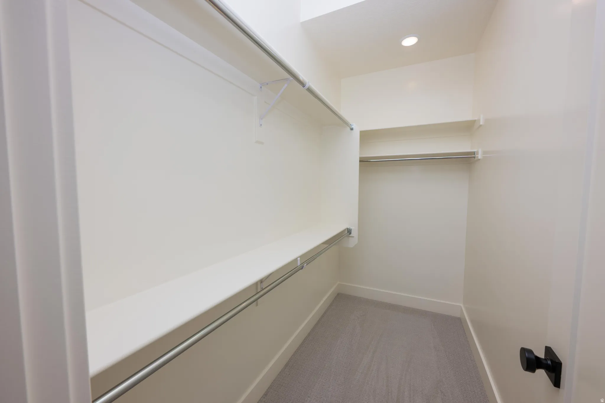 Walk in closet with light colored carpet