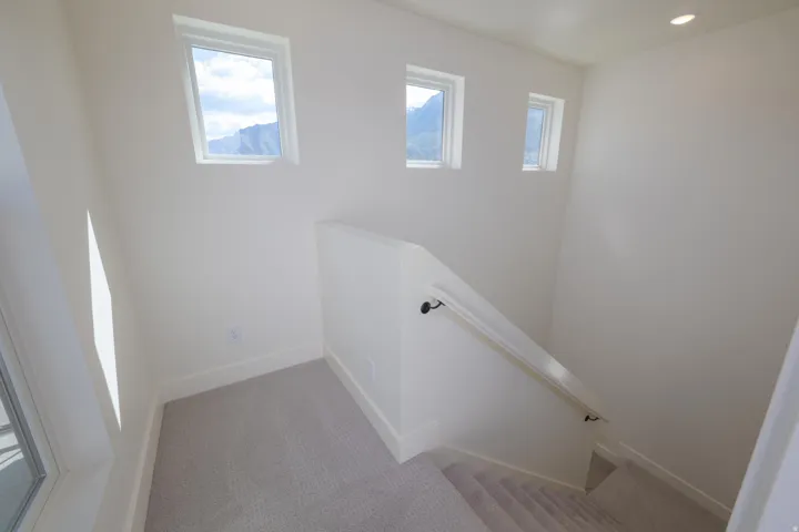 Stairway with healthy amount of natural light and carpet floors