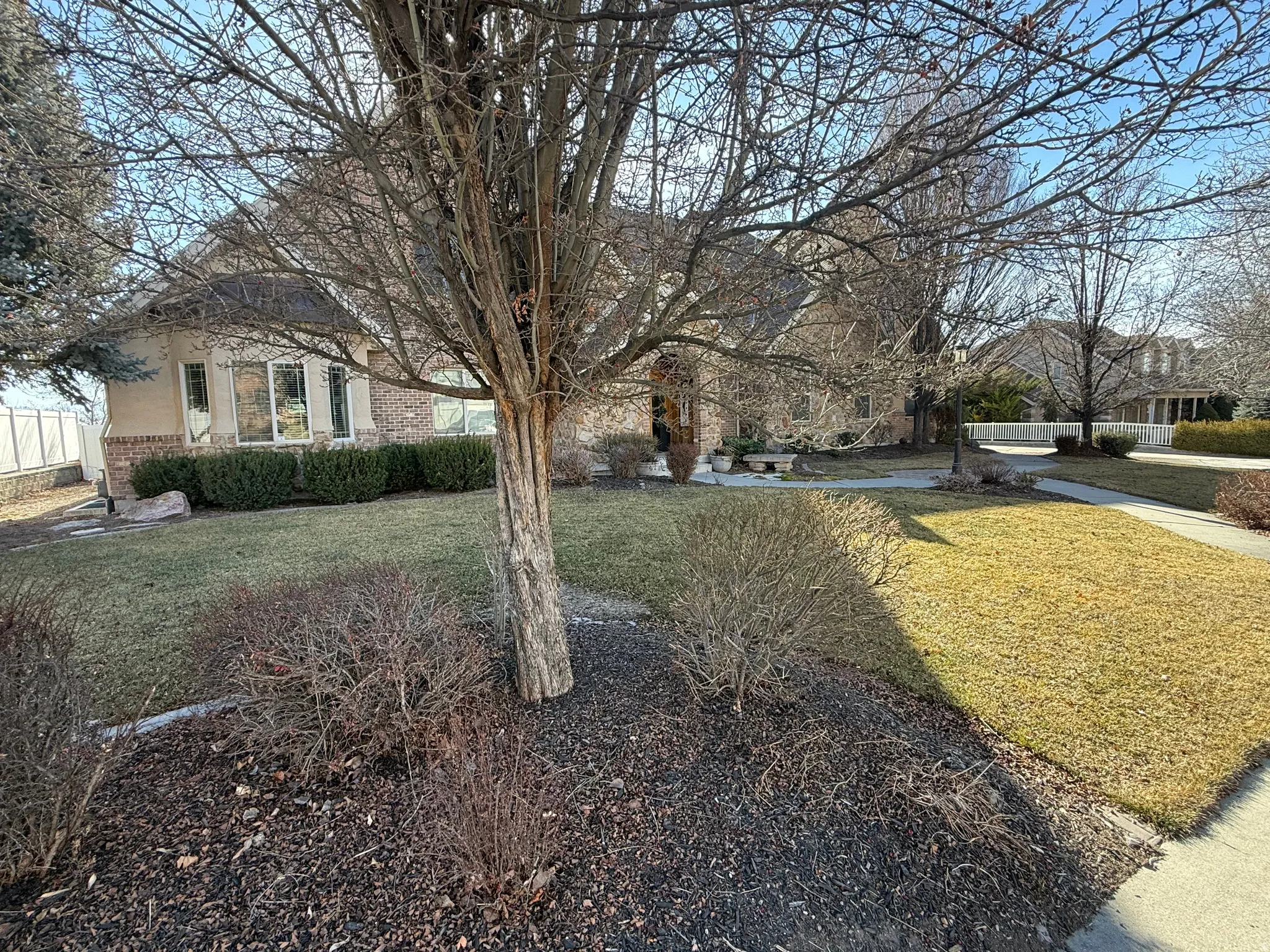View of grassy yard